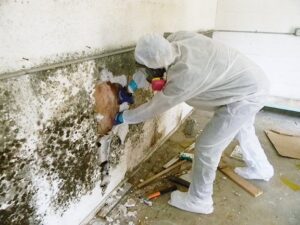 Restoration and Water Mitigation